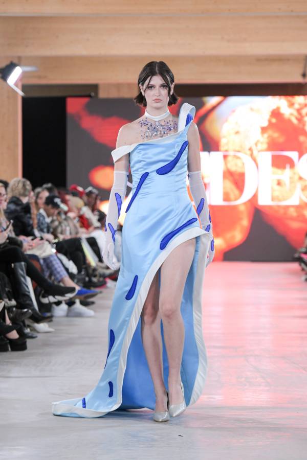 Doris zedes fashion